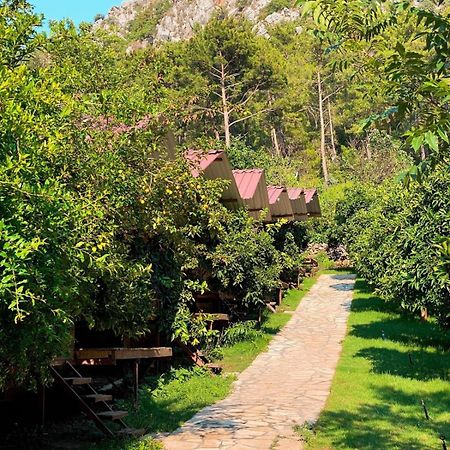 Olympos Camlik Pension Zewnętrze zdjęcie