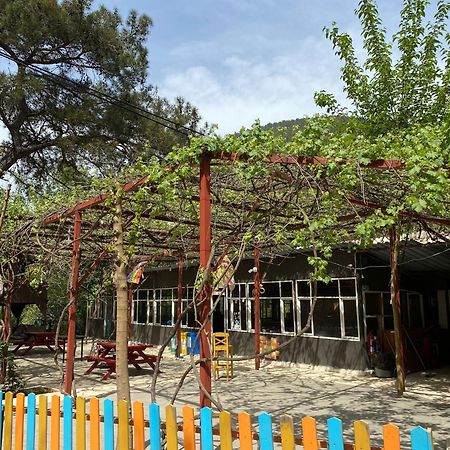 Olympos Camlik Pension Zewnętrze zdjęcie
