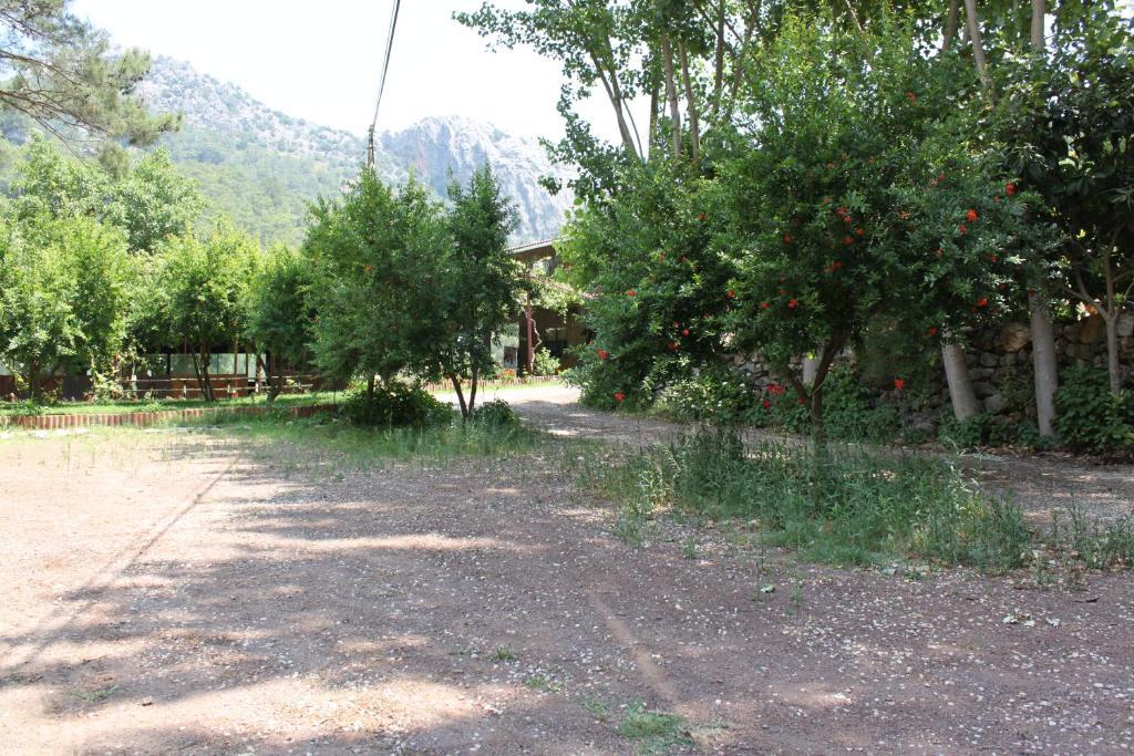 Olympos Camlik Pension Zewnętrze zdjęcie