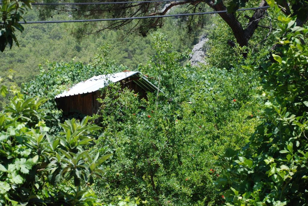 Olympos Camlik Pension Zewnętrze zdjęcie